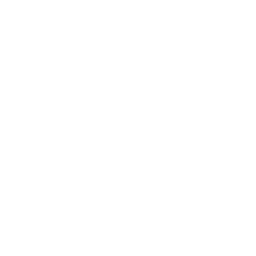 Bajaj Motors