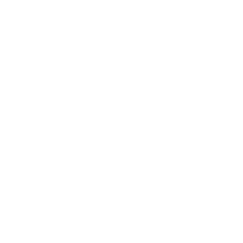 Frooti Parle Agro